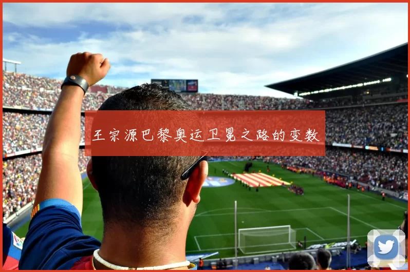 王宗源巴黎奥运卫冕之路的变数