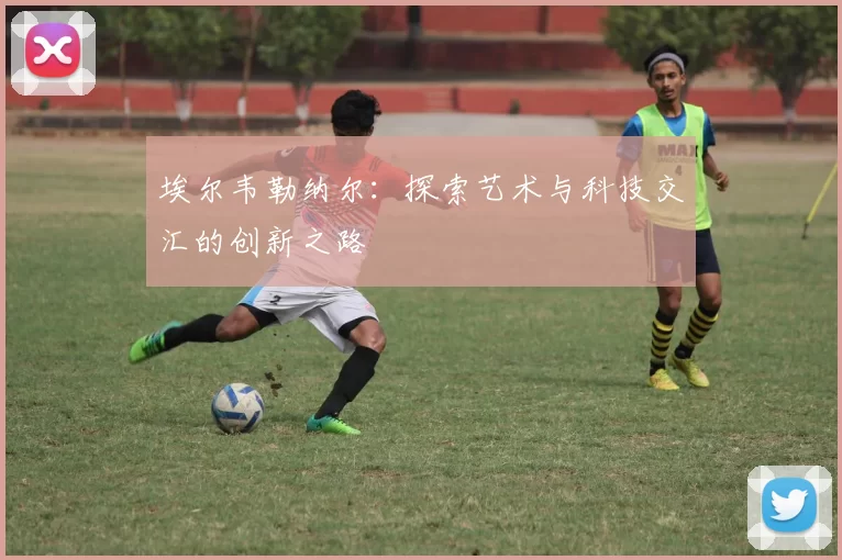 埃尔韦勒纳尔：探索艺术与科技交汇的创新之路