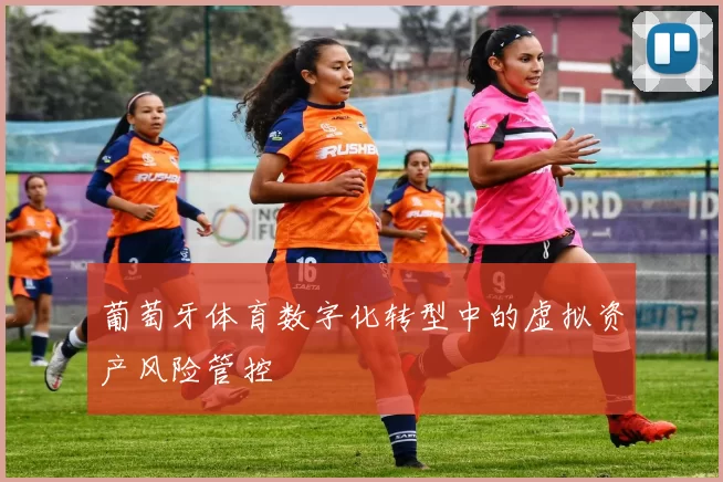 葡萄牙体育数字化转型中的虚拟资产风险管控