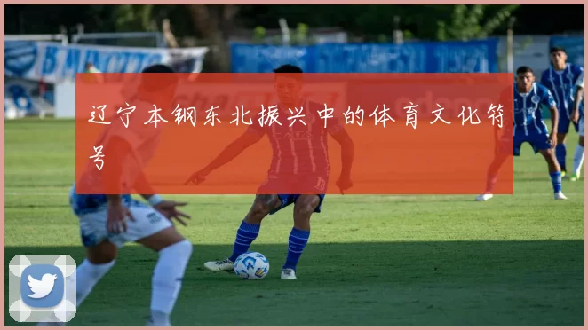 辽宁本钢东北振兴中的体育文化符号