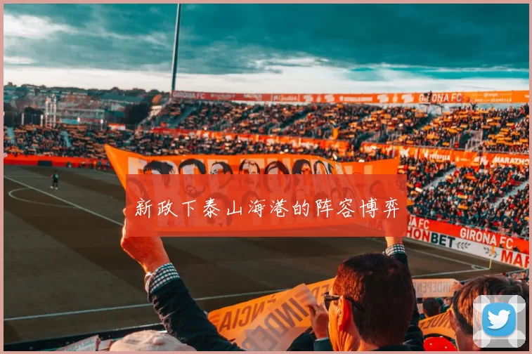 新政下泰山海港的阵容博弈