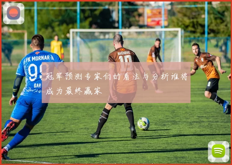 冠军预测专家们的看法与分析谁将成为最终赢家