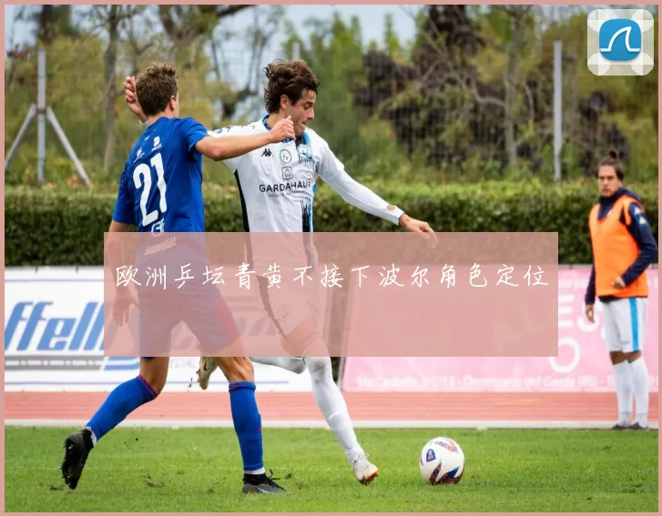 欧洲乒坛青黄不接下波尔角色定位