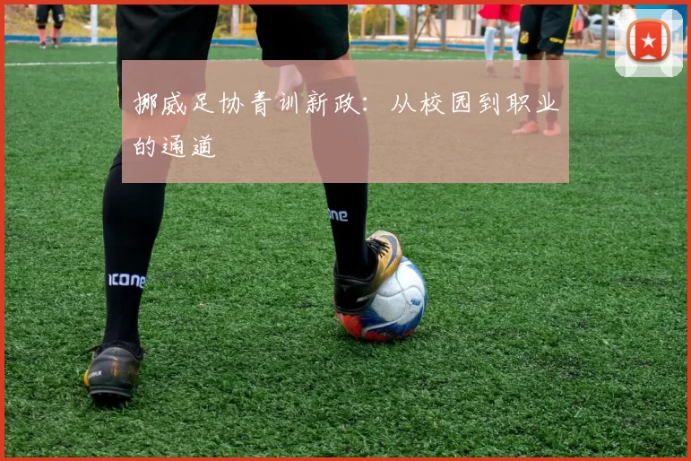 挪威足协青训新政：从校园到职业的通道