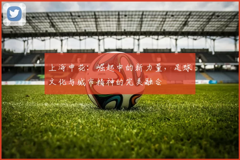 上海申花：崛起中的新力量，足球文化与城市精神的完美融合