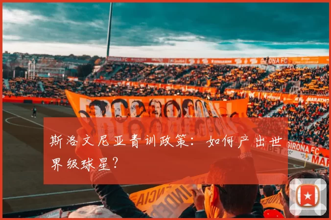 斯洛文尼亚青训政策：如何产出世界级球星？