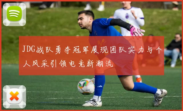 JDG战队勇夺冠军展现团队实力与个人风采引领电竞新潮流